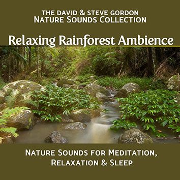 Relaxing Rainforest Ambience – Nature Sounds For Meditation, Relaxation & Sleep