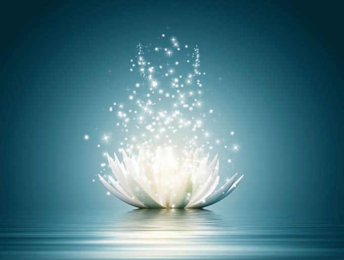 higher consciousness,lotus with light and points of light emerging from it.