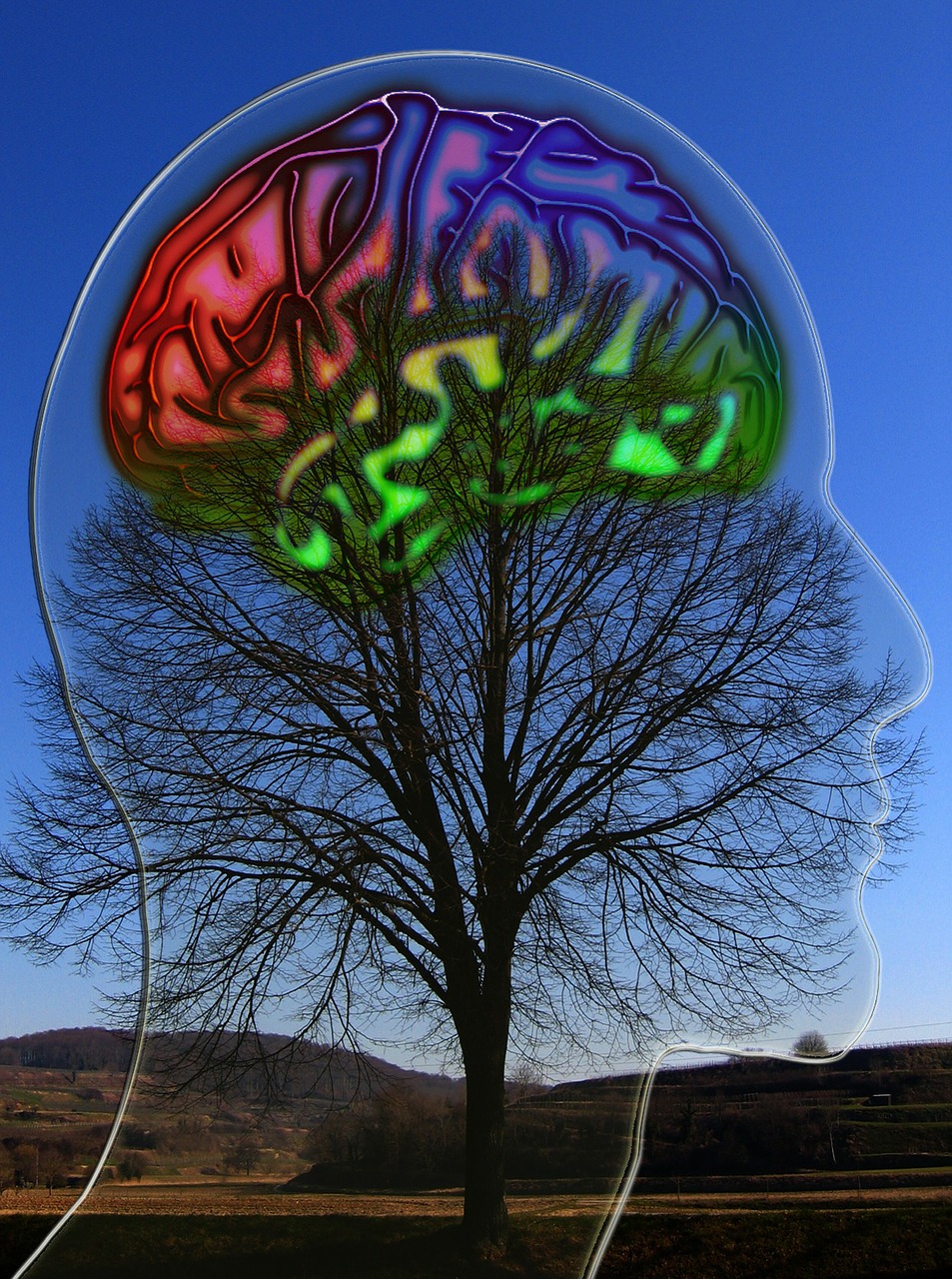 subliminal messages a picture of a lone tree in a arid landscape with a computer generated clear glass head imposed over the tree with a rainbow colored brain inside of it