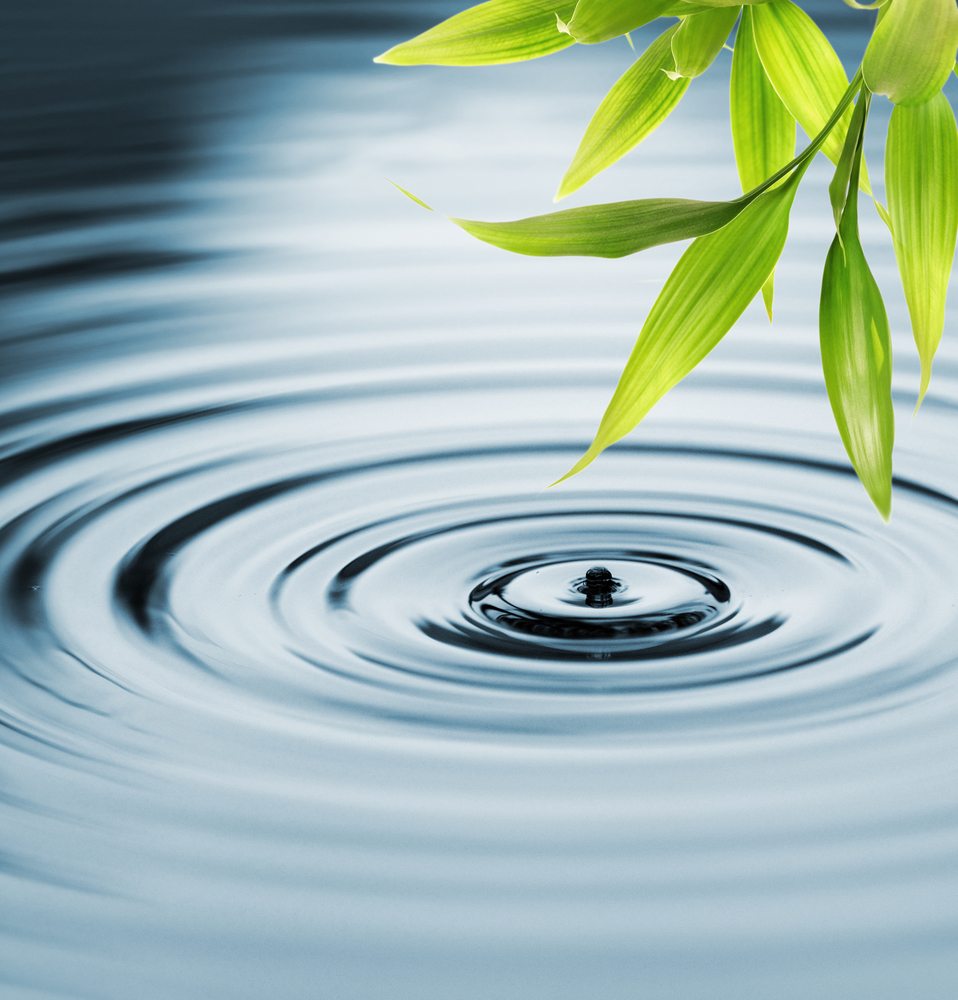 benefits of meditation bamboo leaves over water